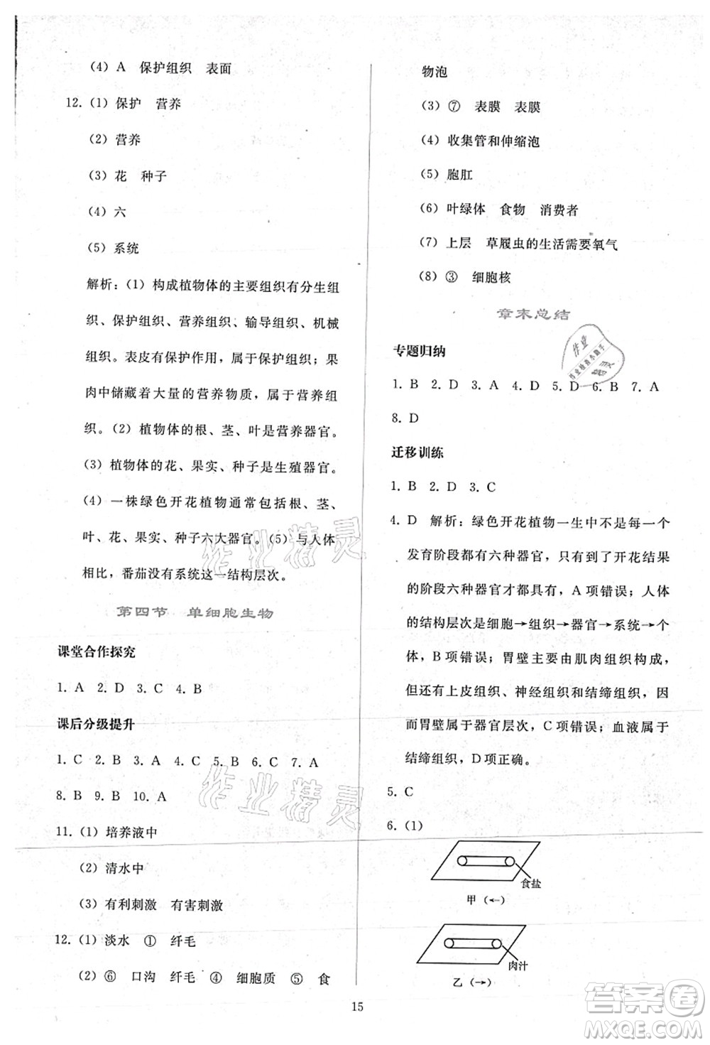 人民教育出版社2021同步輕松練習(xí)七年級(jí)生物上冊(cè)人教版答案