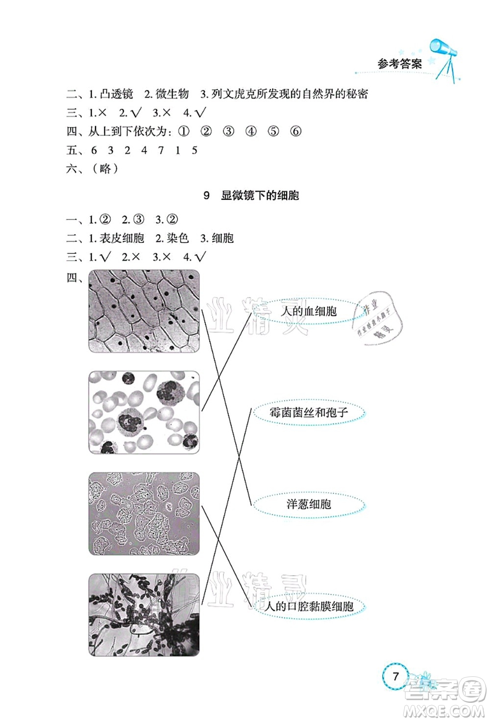 湖北教育出版社2021長江作業(yè)本課堂作業(yè)五年級科學(xué)上冊人教鄂教版答案