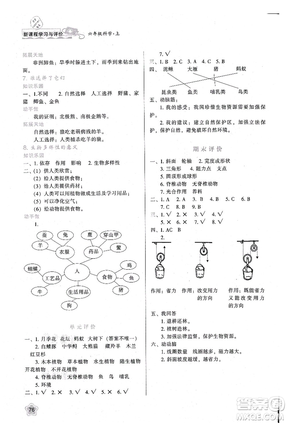 陜西人民教育出版社2021新課程學習與評價六年級科學上冊K版教科版參考答案