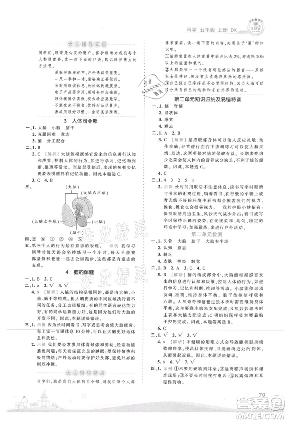 江西人民出版社2021王朝霞創(chuàng)維新課堂同步優(yōu)化訓(xùn)練五年級上冊科學(xué)大象版參考答案