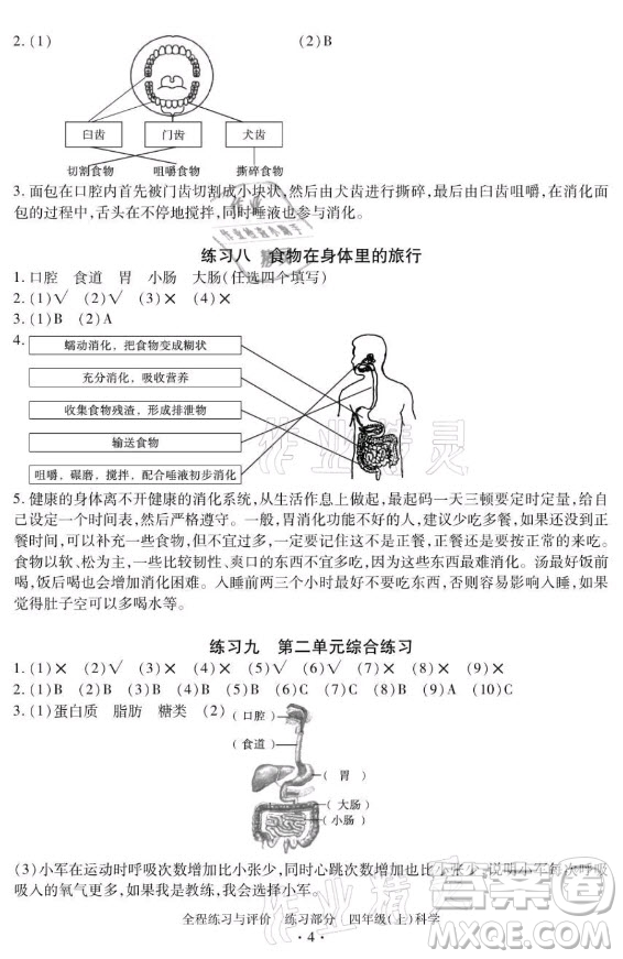 浙江人民出版社2021全程練習與評價四年級上冊科學教科版答案