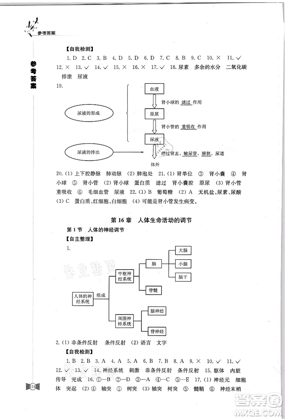 江蘇鳳凰教育出版社2021學(xué)習(xí)與評(píng)價(jià)八年級(jí)生物上冊(cè)蘇科版答案