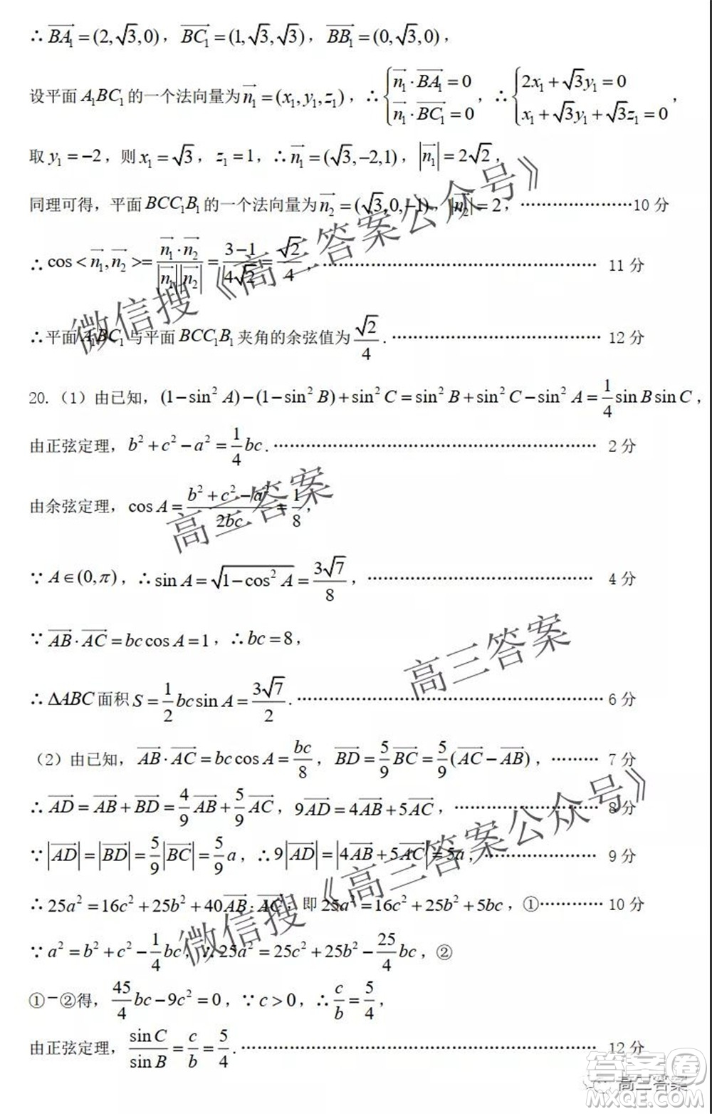 2022屆全國新高考一卷區(qū)高三學(xué)業(yè)測評數(shù)學(xué)試卷及答案