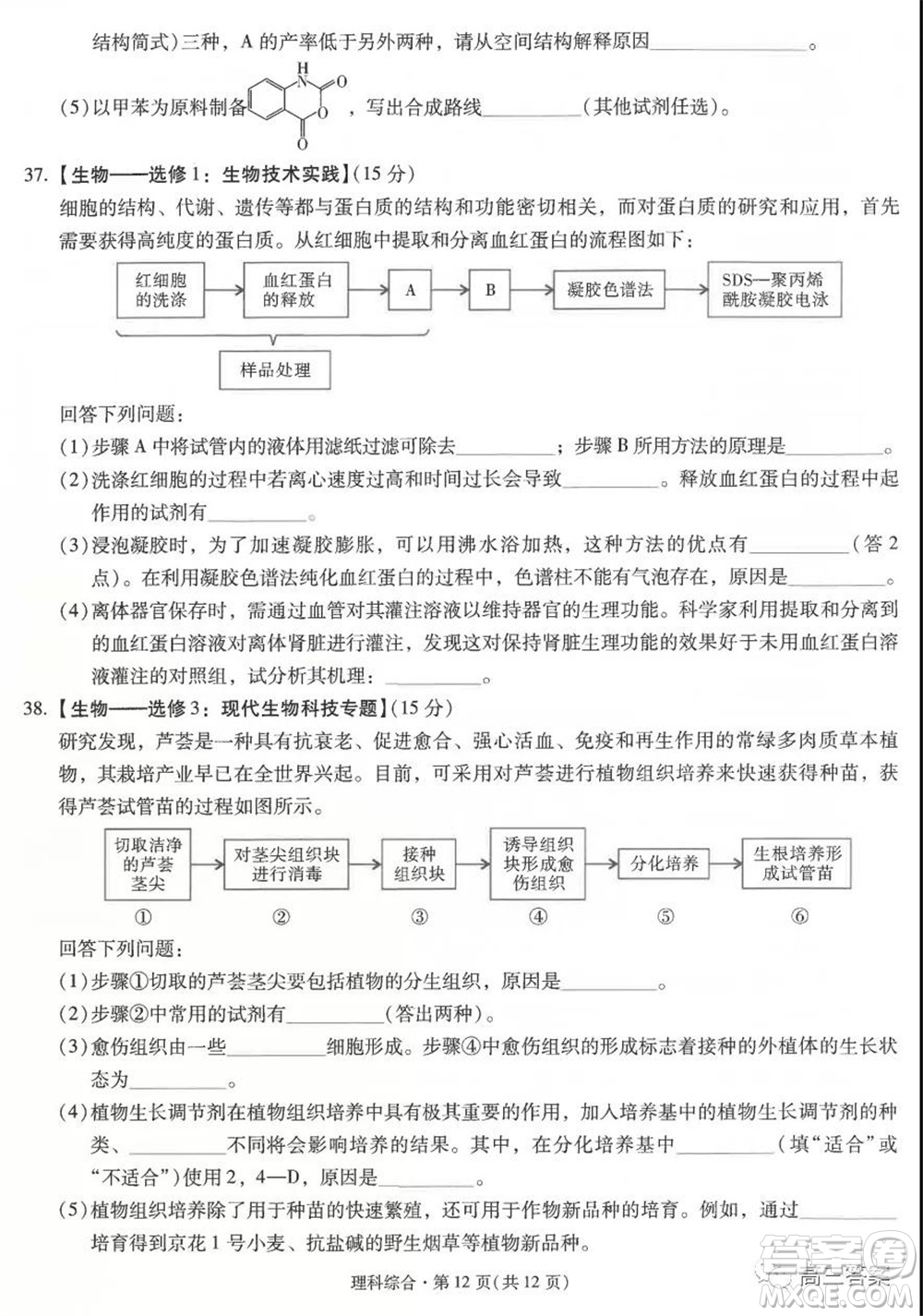 昆明市第一中學(xué)2022屆高中新課標(biāo)高三第二次雙基檢測理科綜合試卷答案