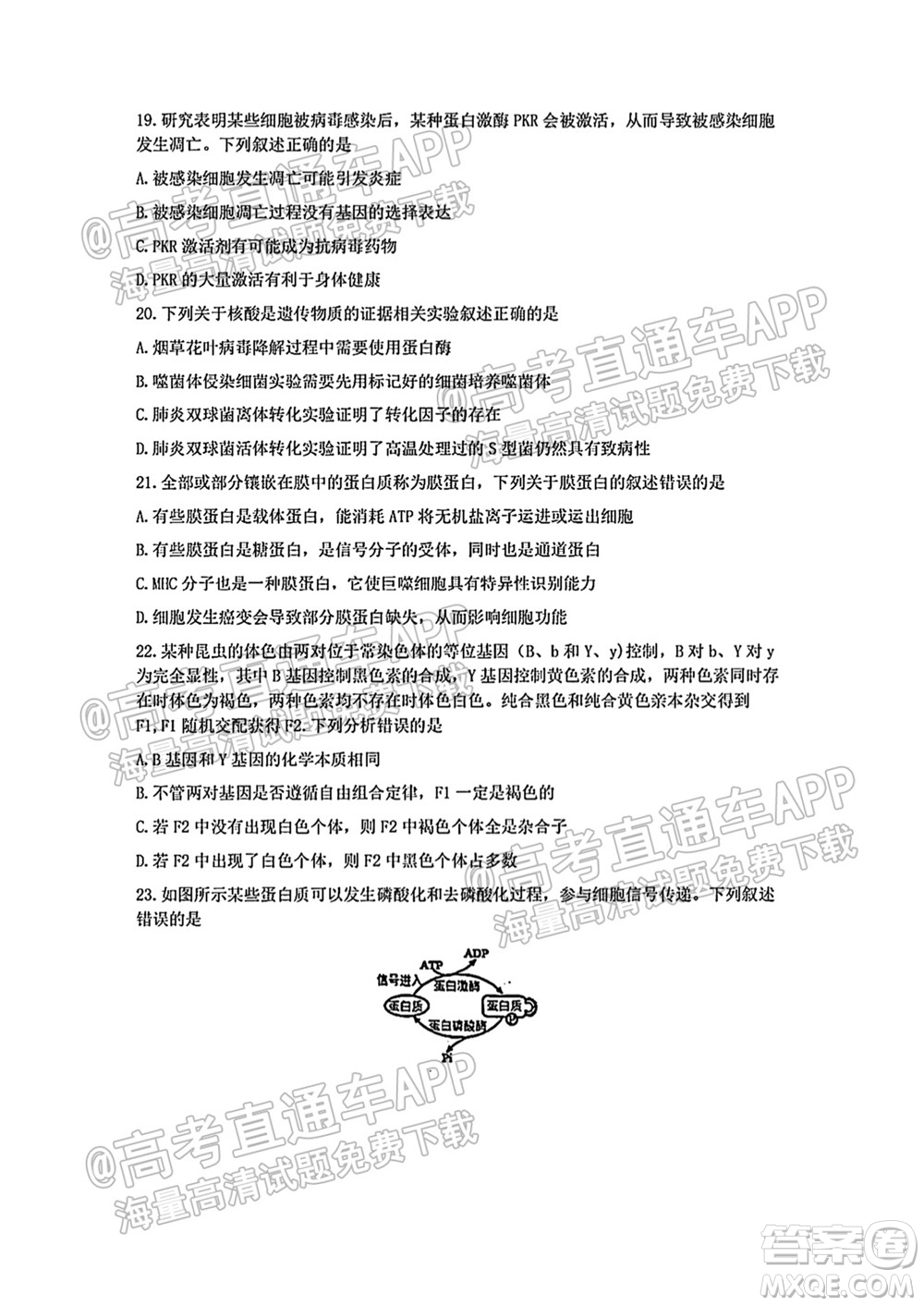 2021學(xué)年第一學(xué)期浙南名校聯(lián)盟第一次聯(lián)考生物試題及答案