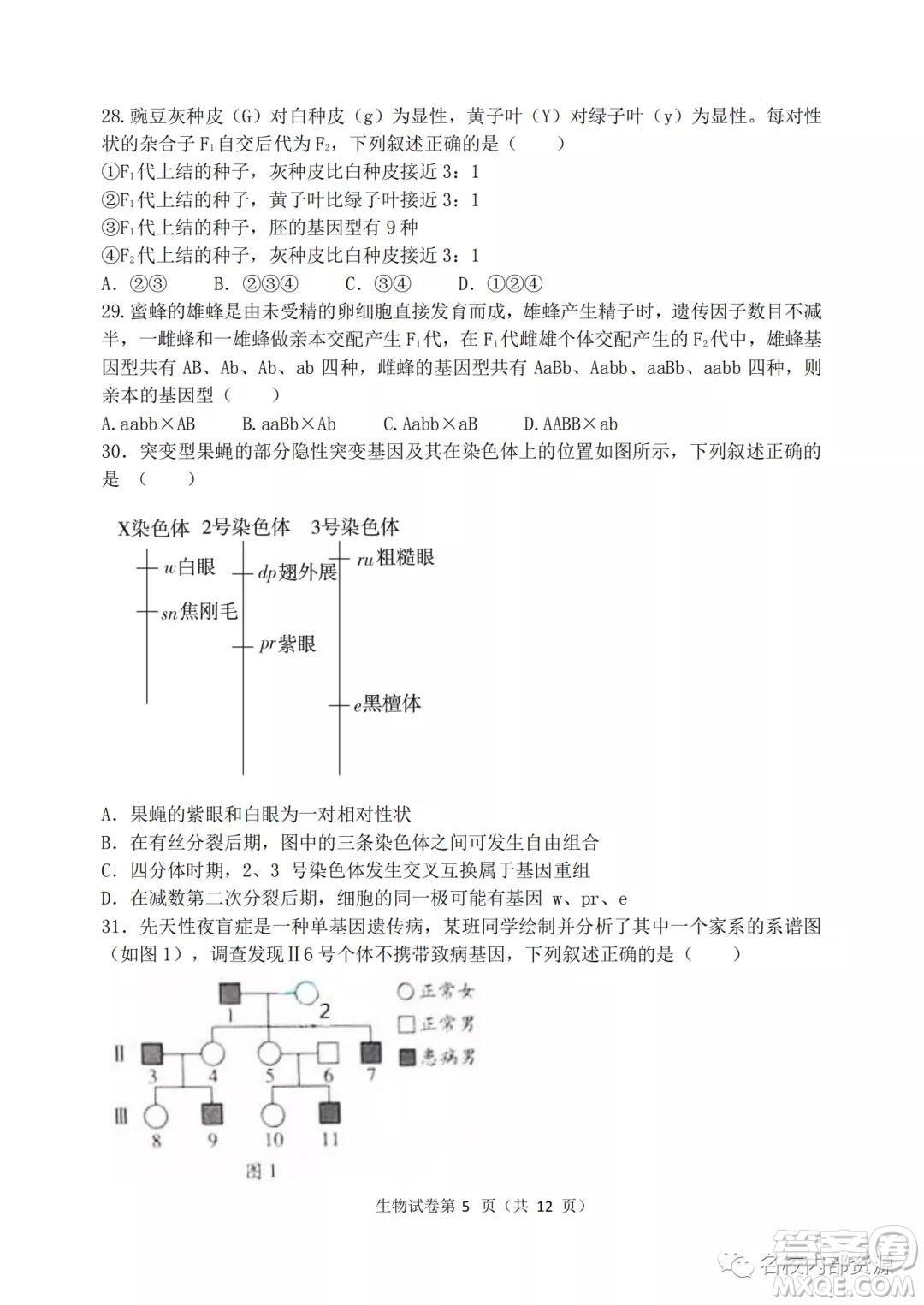 哈三中2021-2022學年度高三學年第二次驗收考試生物試卷及答案