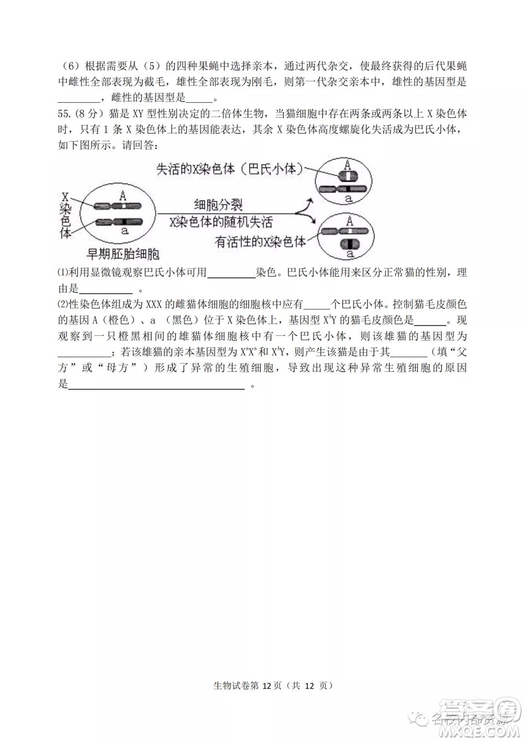 哈三中2021-2022學年度高三學年第二次驗收考試生物試卷及答案