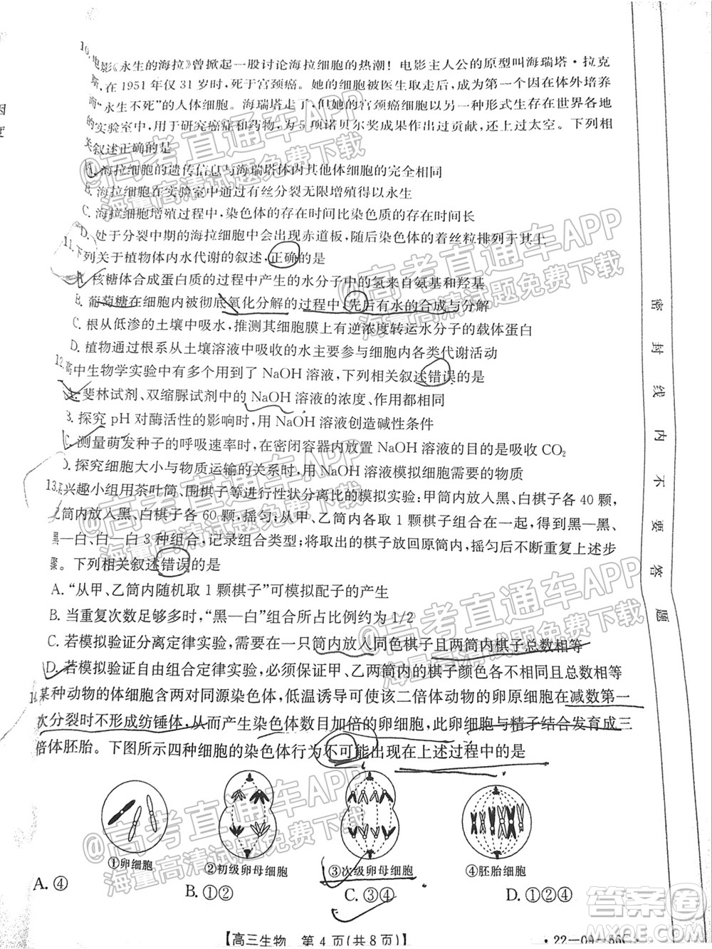 2022屆山東金太陽10月聯(lián)考高三第一次備考監(jiān)測聯(lián)合考試生物試題及答案