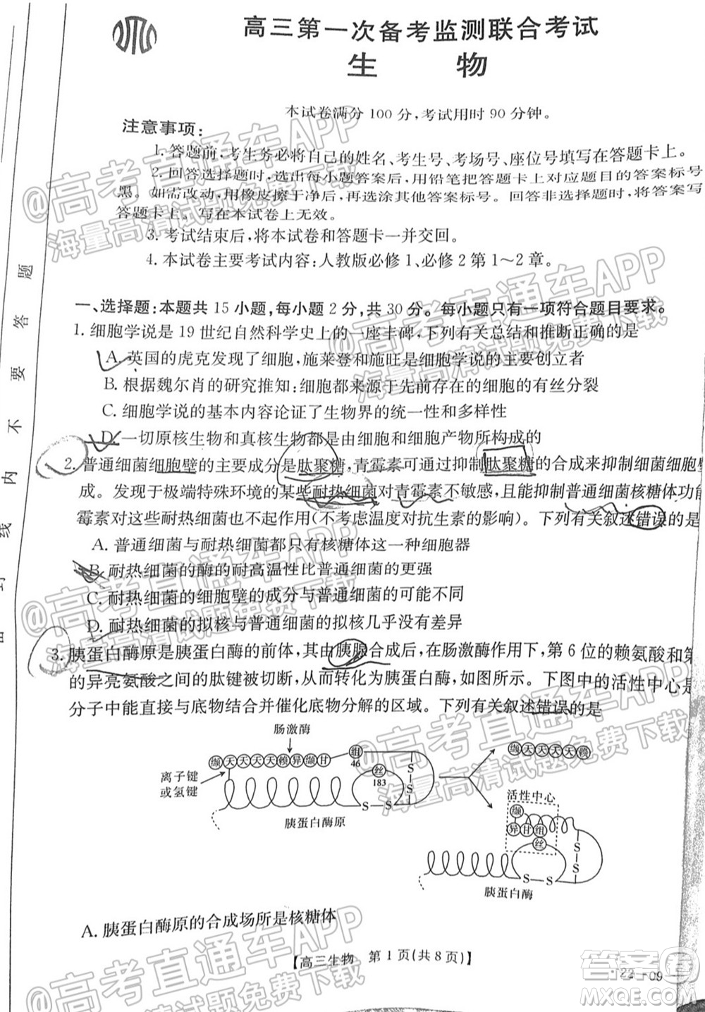 2022屆山東金太陽10月聯(lián)考高三第一次備考監(jiān)測聯(lián)合考試生物試題及答案