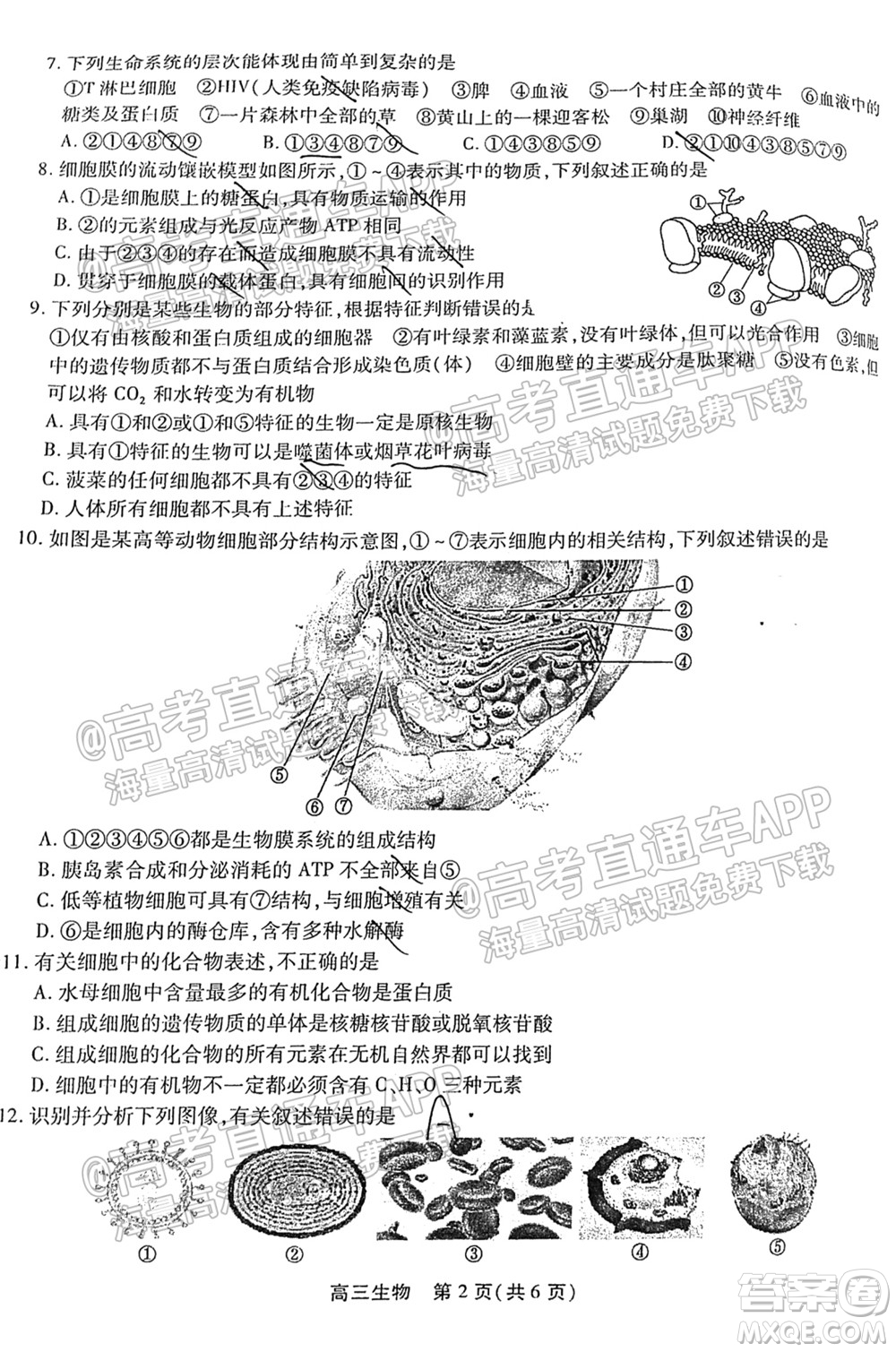 2022屆安徽鼎尖教育高三10月聯(lián)考生物試題及答案