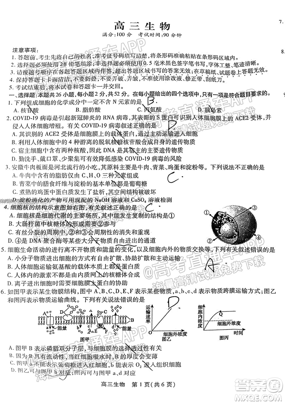 2022屆安徽鼎尖教育高三10月聯(lián)考生物試題及答案