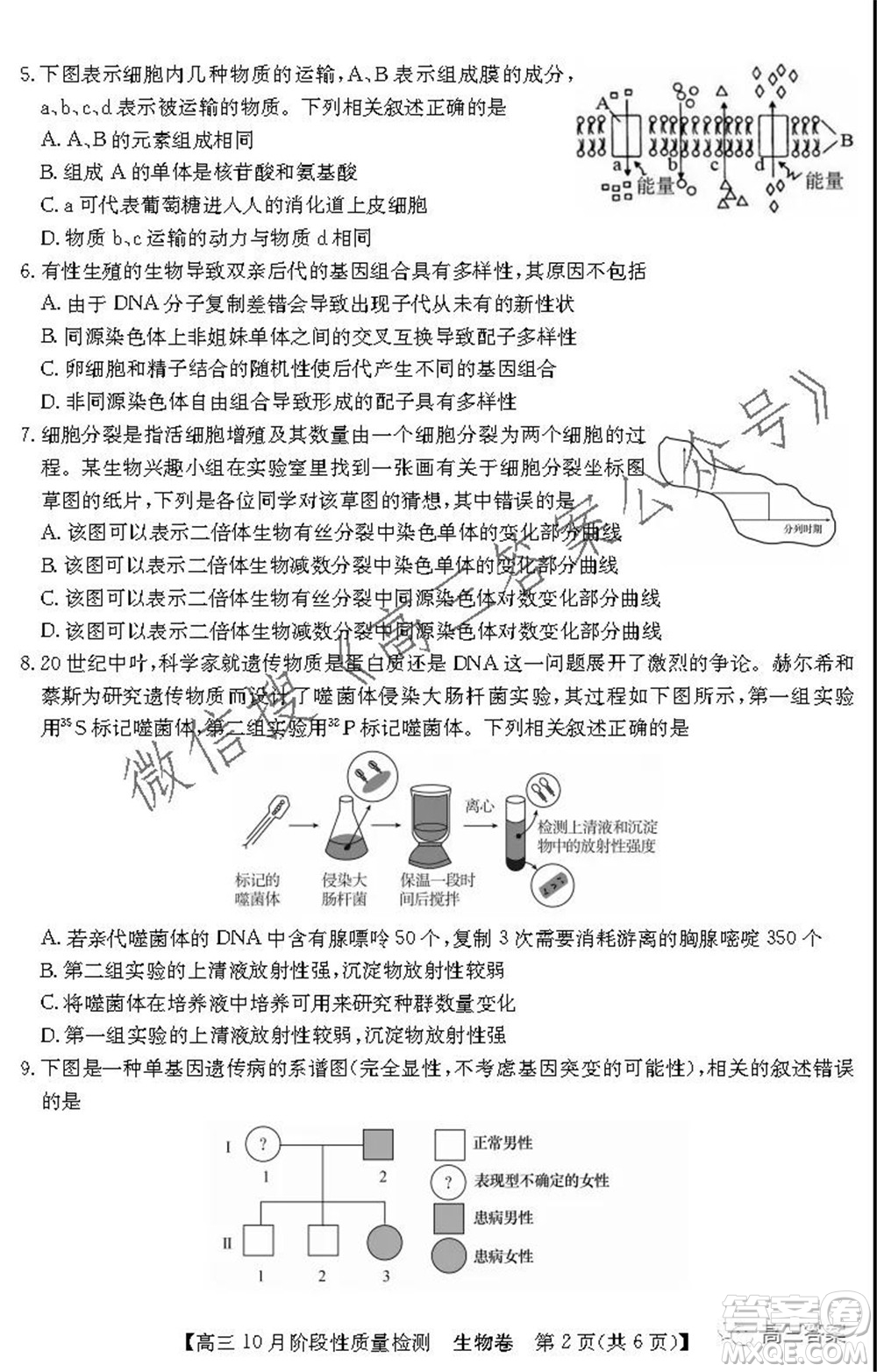 廣東省普通高中2022屆高三10月階段性質(zhì)量檢測生物試題及答案