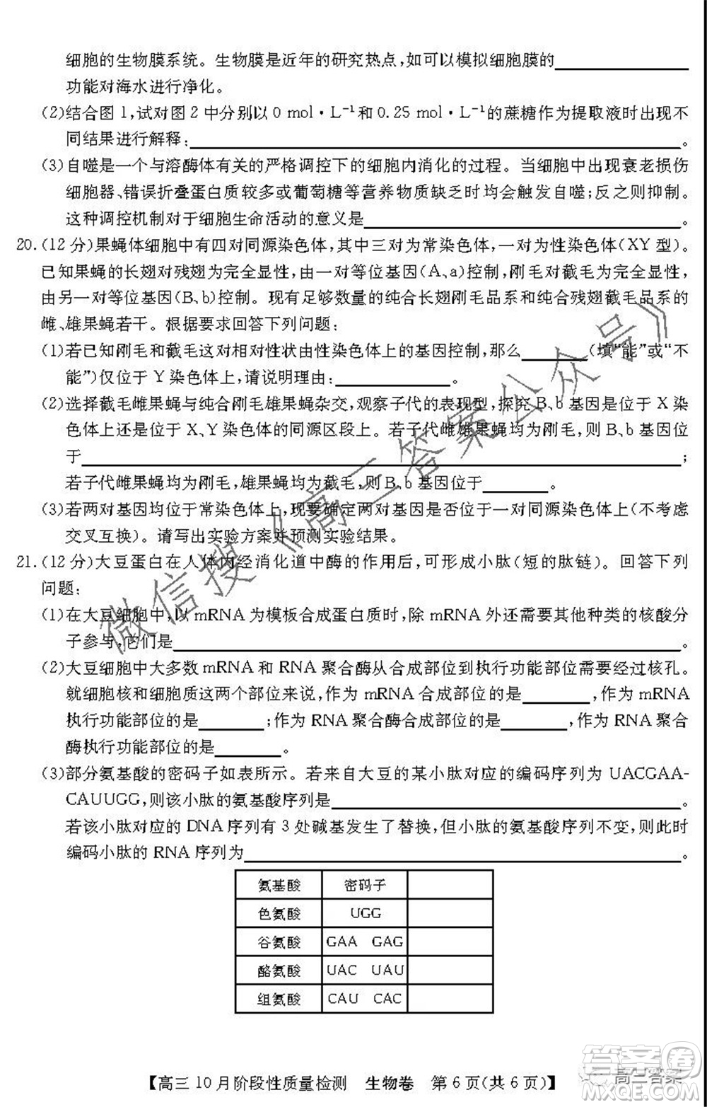 廣東省普通高中2022屆高三10月階段性質(zhì)量檢測生物試題及答案