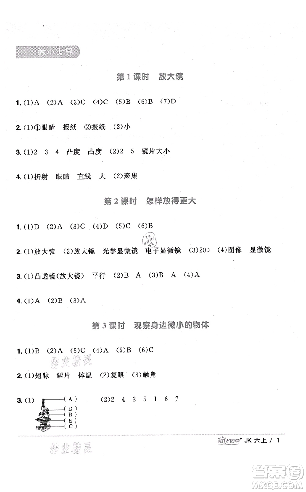 江西教育出版社2021陽光同學課時優(yōu)化作業(yè)六年級科學上冊JK教科版答案