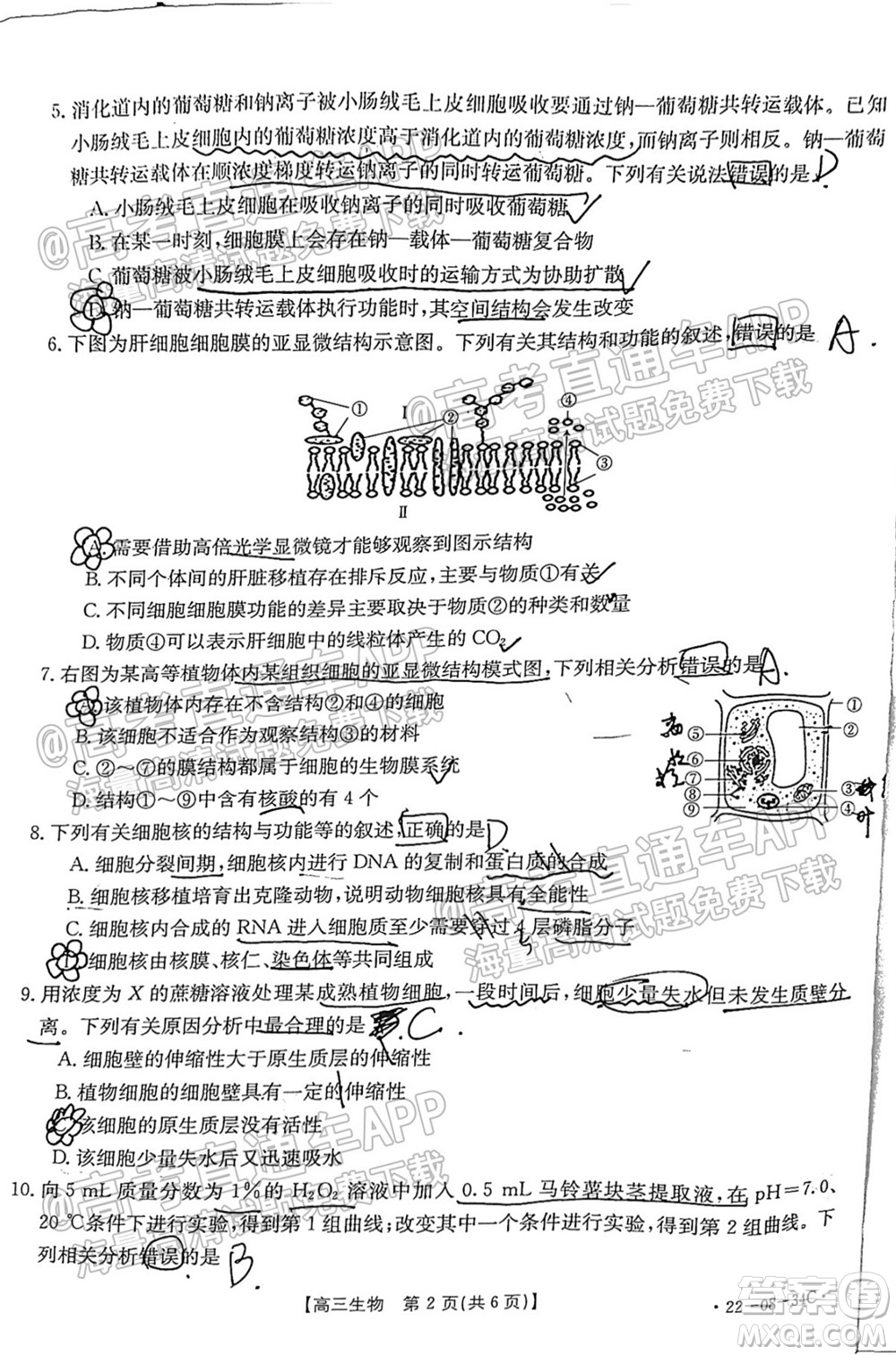 2022屆湖北百校聯(lián)考10月聯(lián)考高三生物試題及答案