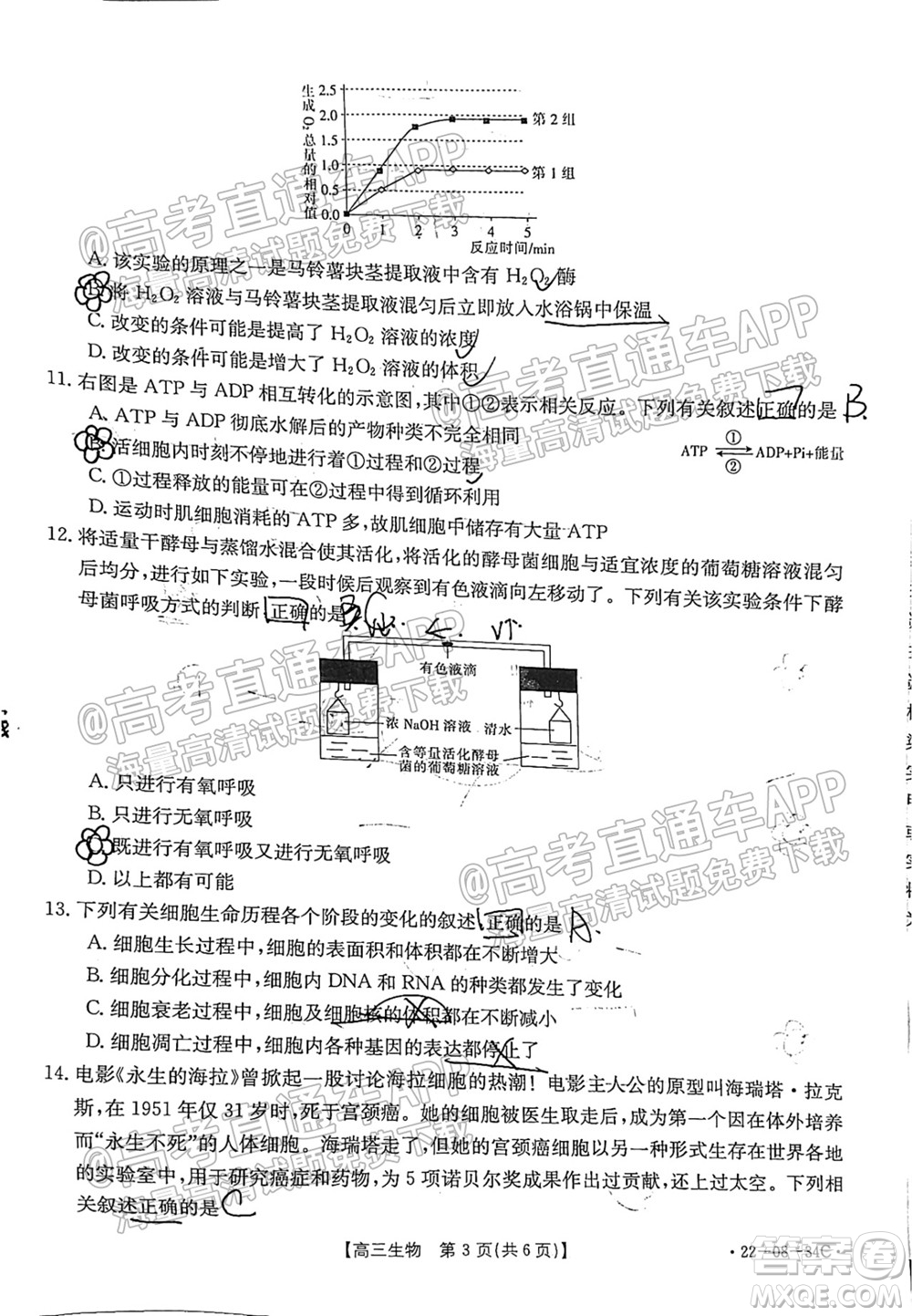 2022屆湖北百校聯(lián)考10月聯(lián)考高三生物試題及答案