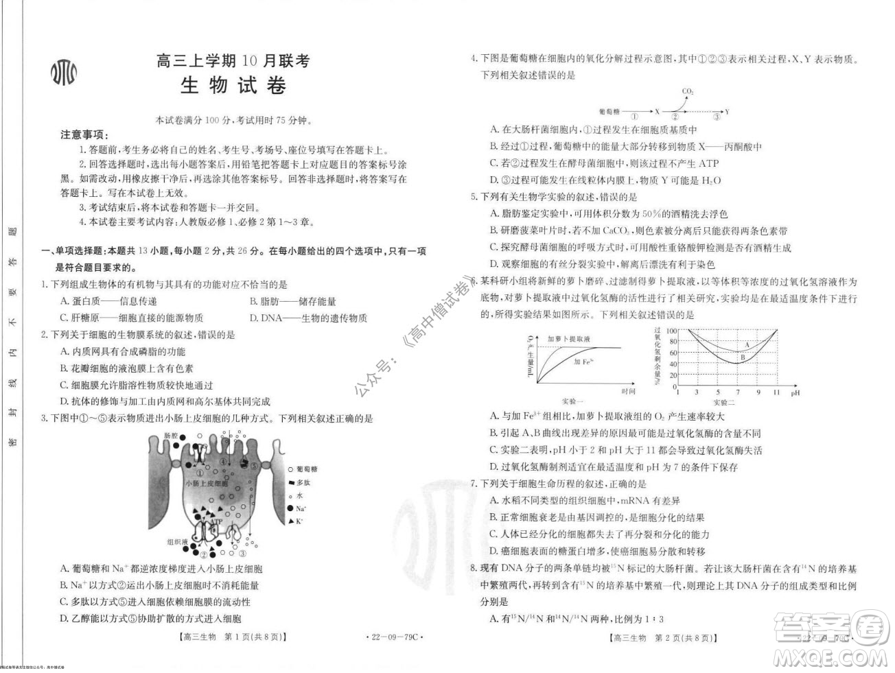 2022屆河北邢臺金太陽聯(lián)考高三上期10月聯(lián)考生物試卷及答案