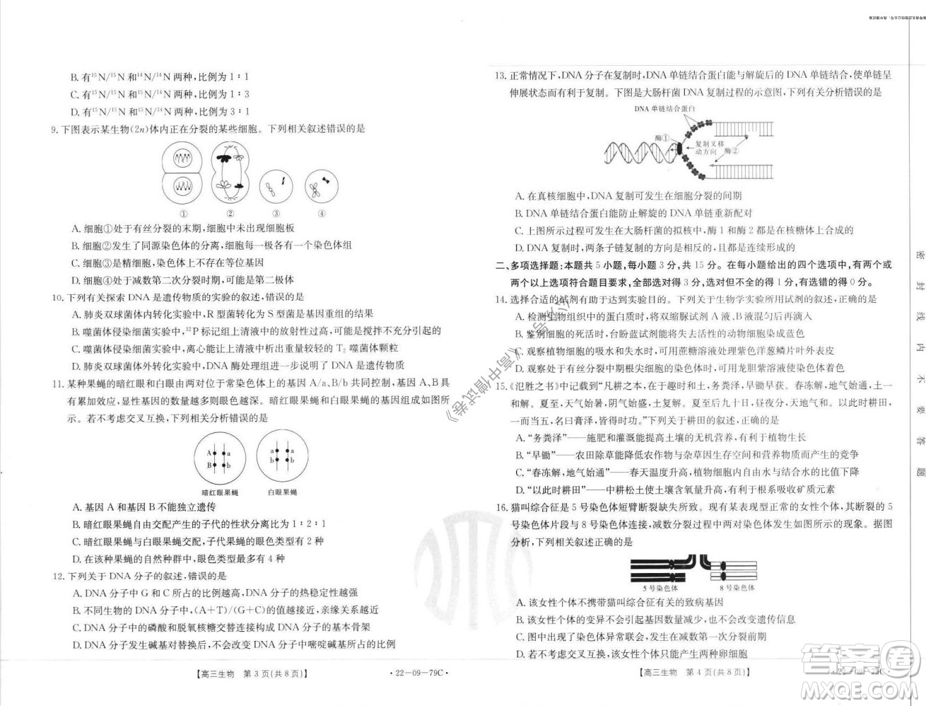 2022屆河北邢臺金太陽聯(lián)考高三上期10月聯(lián)考生物試卷及答案