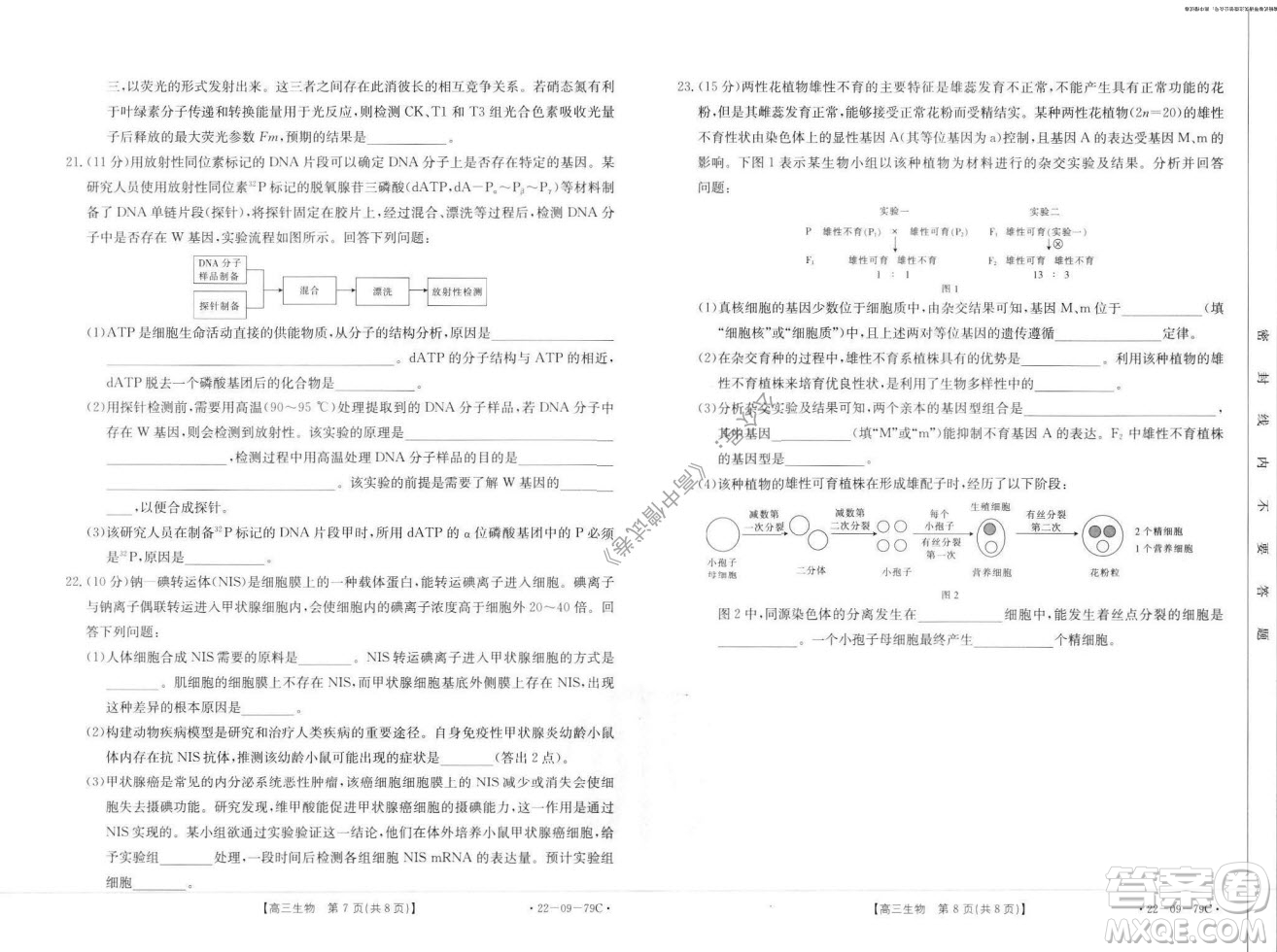 2022屆河北邢臺金太陽聯(lián)考高三上期10月聯(lián)考生物試卷及答案