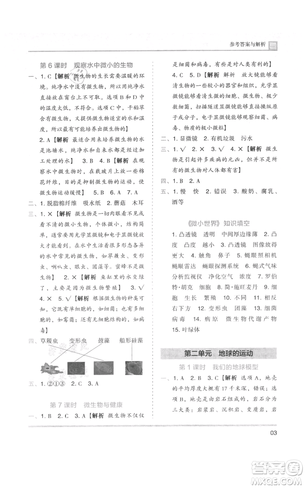 湖南師范大學出版社2021木頭馬分層課課練六年級上冊科學教科版參考答案