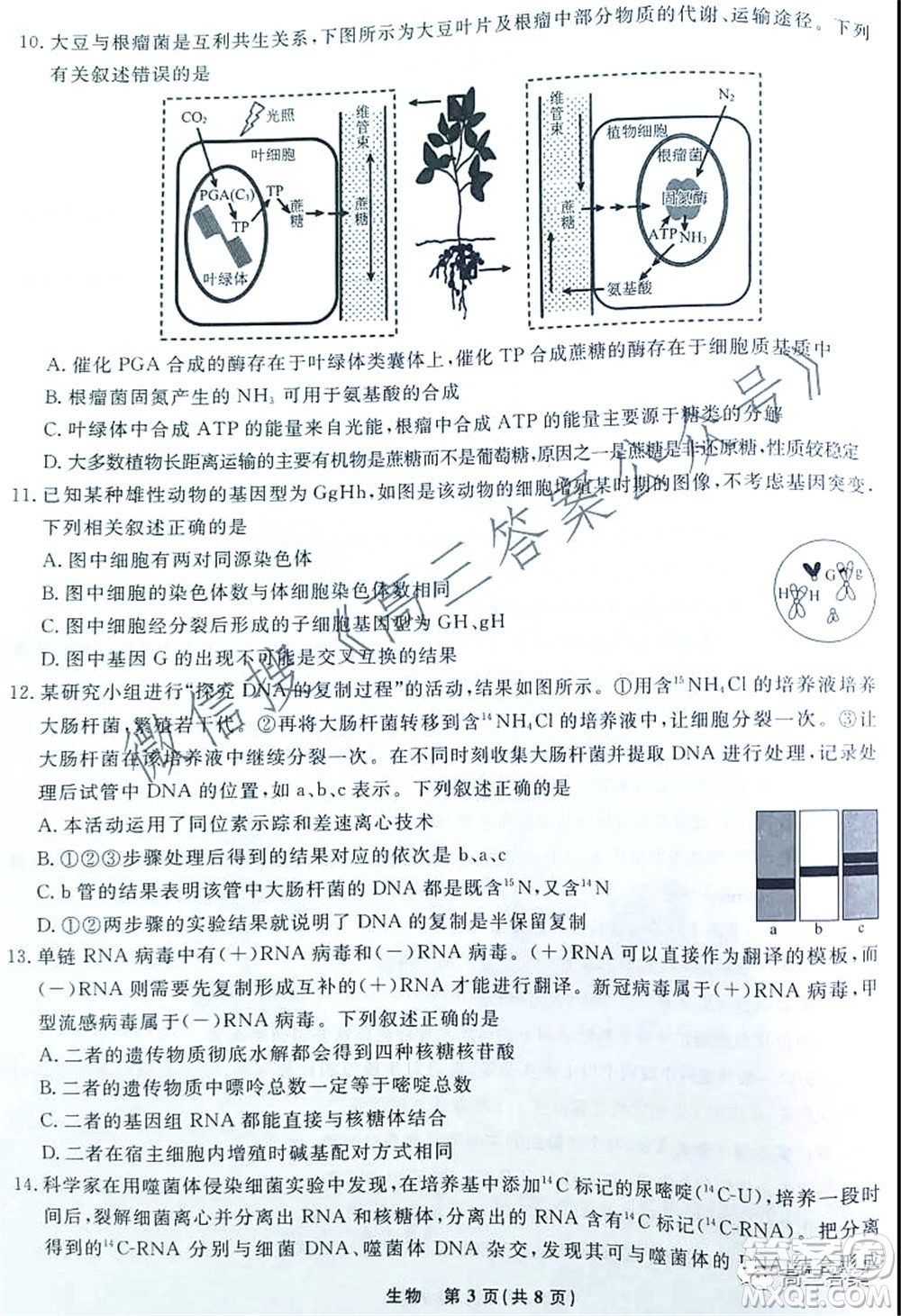 遼寧省名校聯(lián)盟2022屆高三10月份聯(lián)合考試生物試題及答案