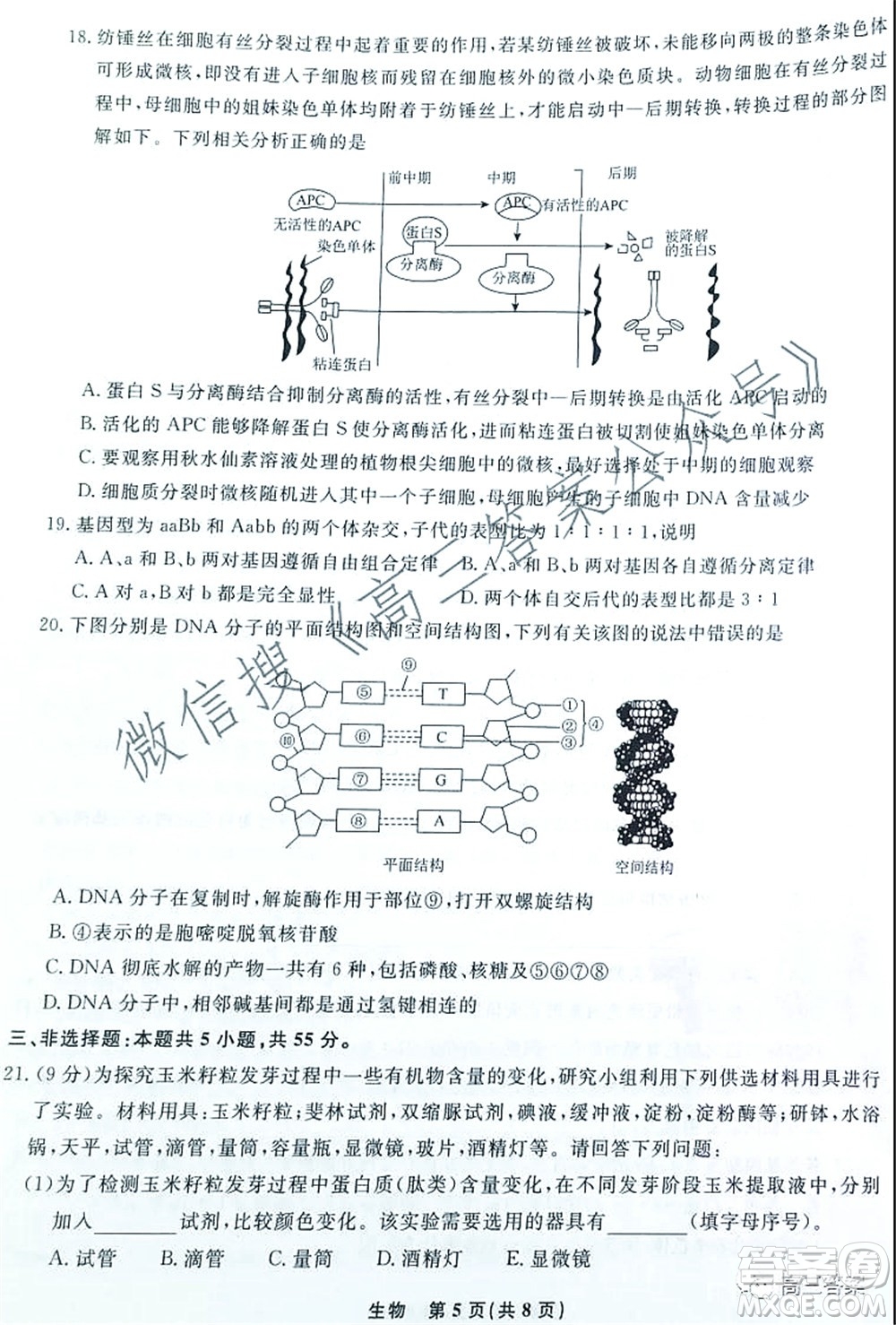 遼寧省名校聯(lián)盟2022屆高三10月份聯(lián)合考試生物試題及答案