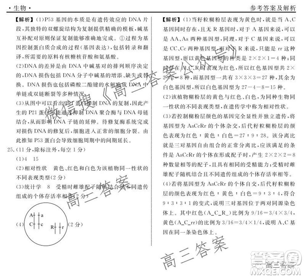 遼寧省名校聯(lián)盟2022屆高三10月份聯(lián)合考試生物試題及答案