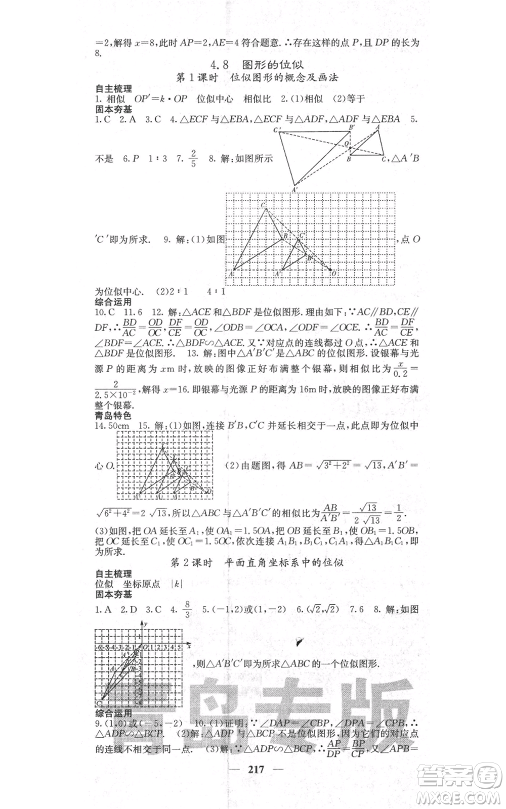 四川大學(xué)出版社2021名校課堂內(nèi)外九年級(jí)上冊數(shù)學(xué)北師大版青島專版參考答案