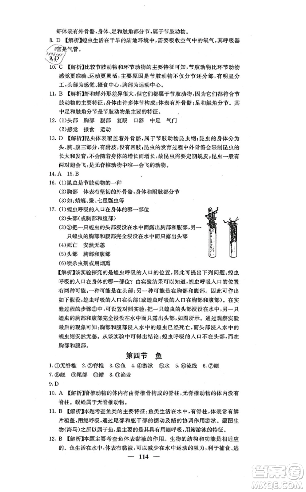 四川大學(xué)出版社2021課堂點睛八年級生物上冊人教版答案