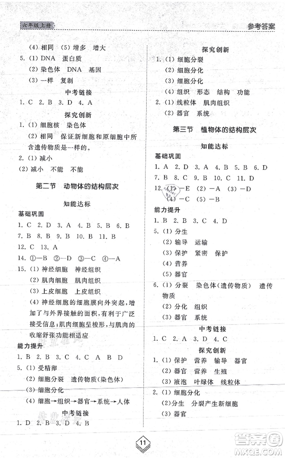 山東人民出版社2021綜合能力訓練六年級生物上冊五四制魯科版答案