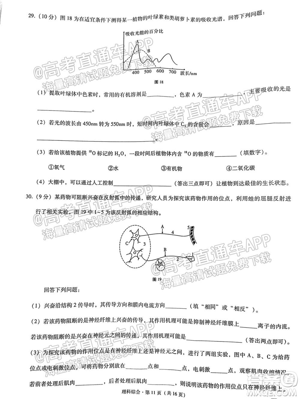 云南師大附中2022屆高考適應(yīng)性月考卷四理科綜合試卷及答案