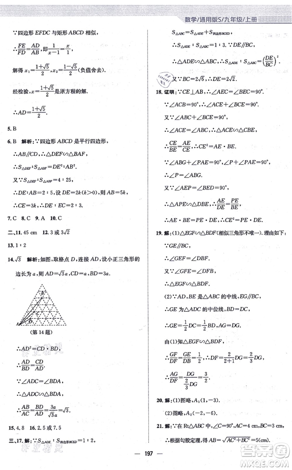 安徽教育出版社2021新編基礎(chǔ)訓(xùn)練九年級數(shù)學(xué)上冊通用版S答案