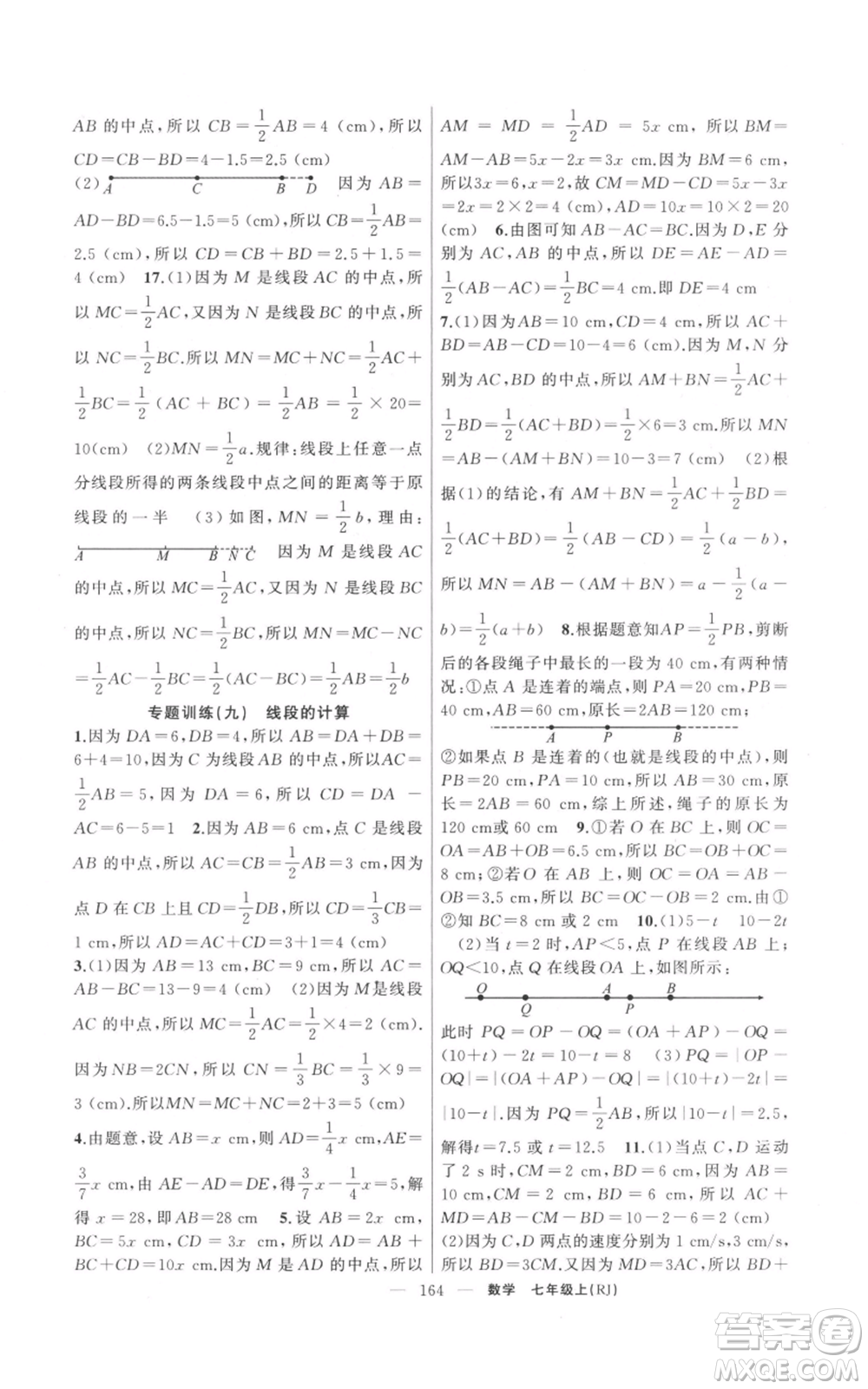 新疆青少年出版社2021四清導航七年級上冊數(shù)學人教版河南專版參考答案