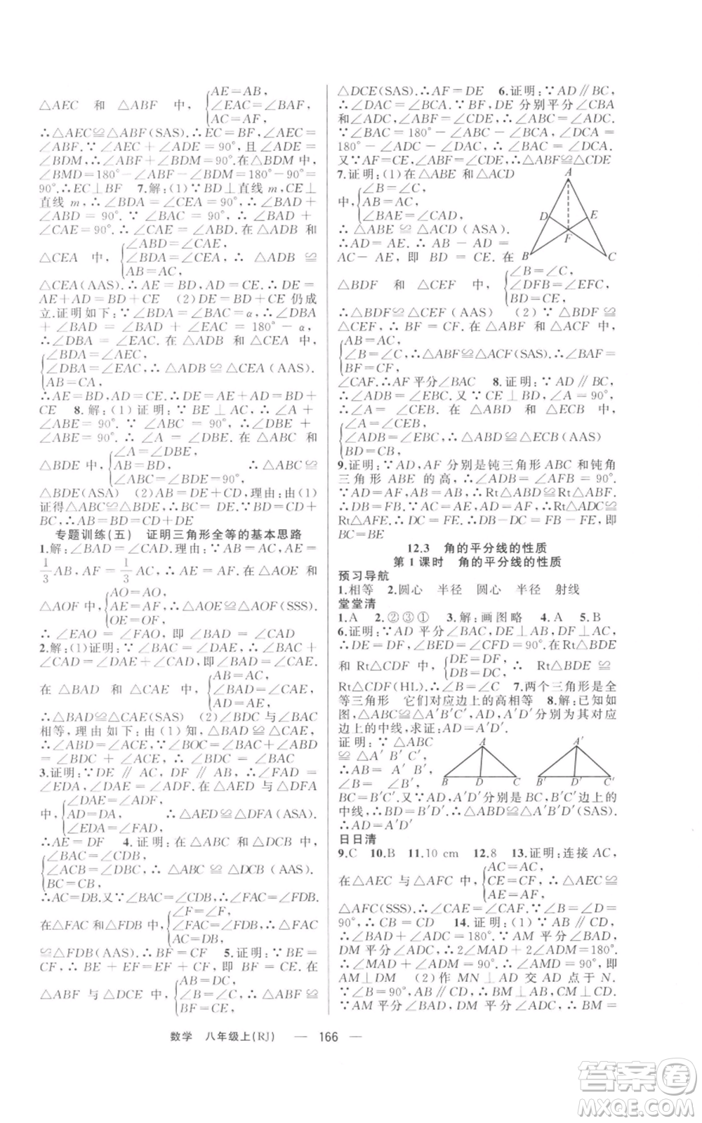 新疆青少年出版社2021四清導(dǎo)航八年級(jí)上冊(cè)數(shù)學(xué)人教版河南專版參考答案