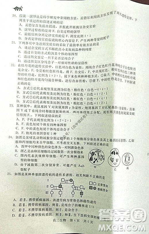 陜西十校聯(lián)考2021-2022學(xué)年第一學(xué)期高三階段測試卷生物全國卷試題及答案