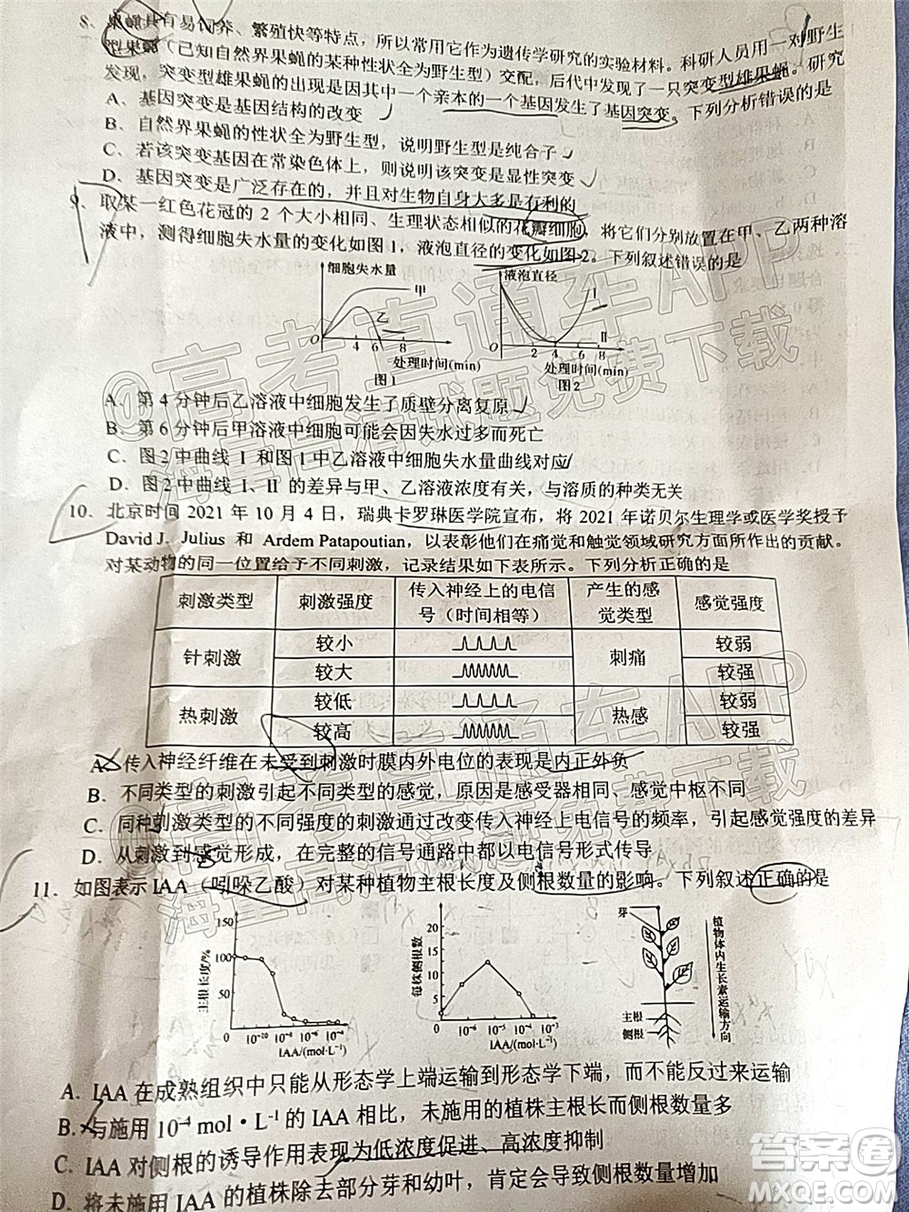 湖湘教育三新探索協(xié)作體2021年11月期中聯(lián)考試卷高三生物試題及答案