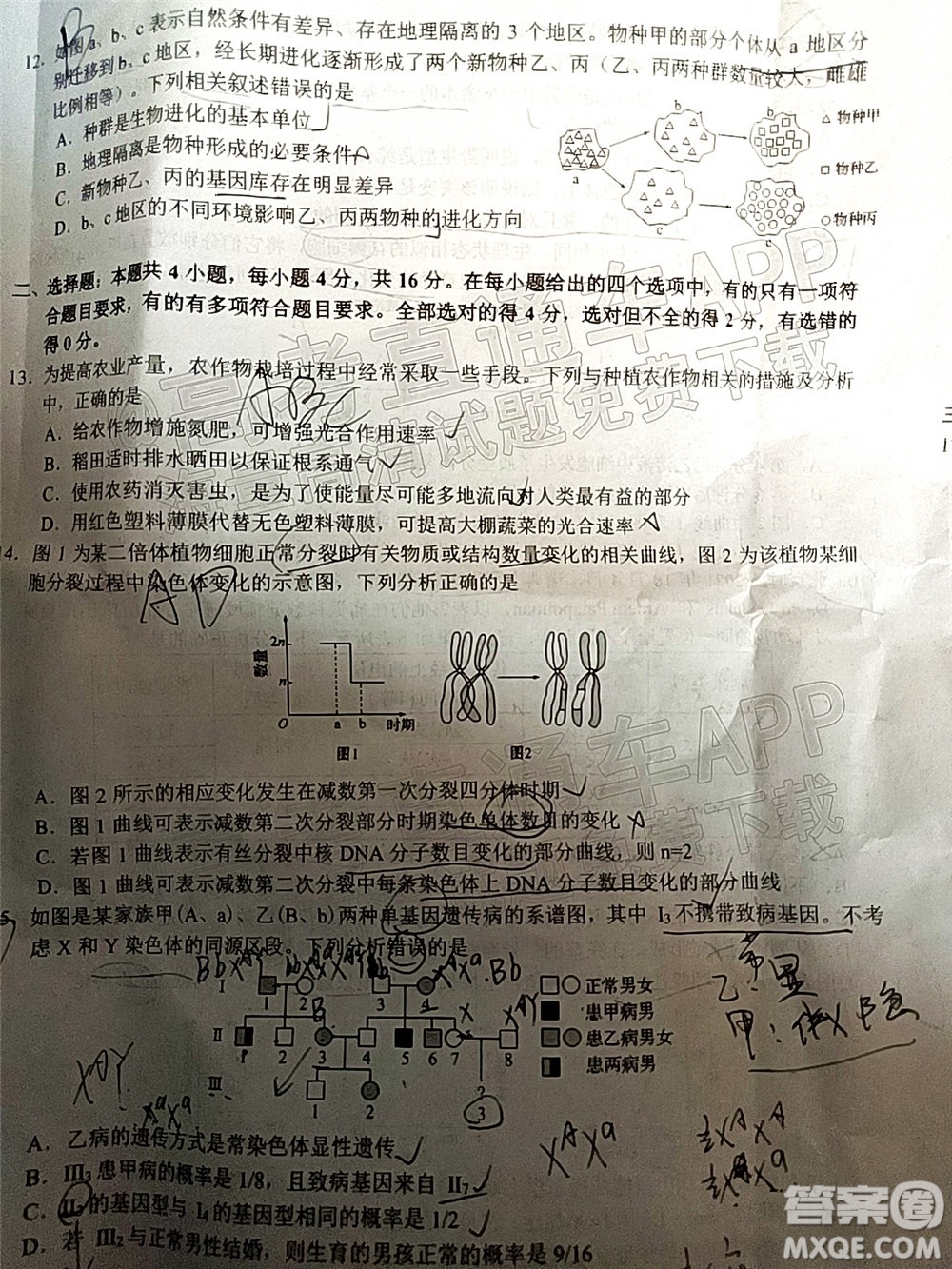 湖湘教育三新探索協(xié)作體2021年11月期中聯(lián)考試卷高三生物試題及答案