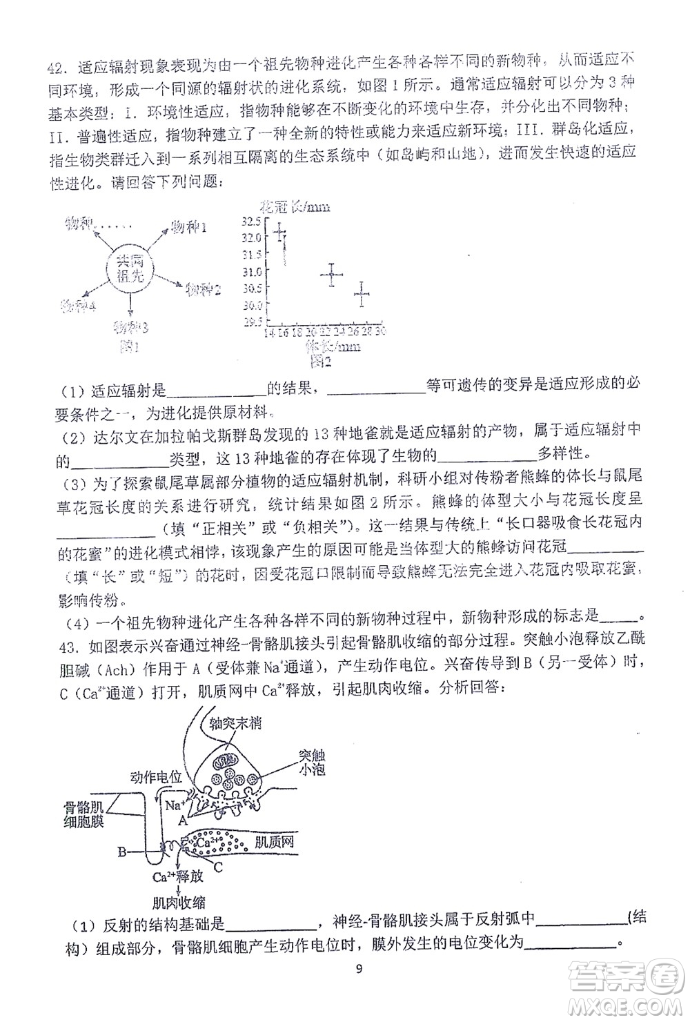 哈三中2021-2022學(xué)年度上學(xué)期高二學(xué)年10月階段性測試生物試卷及答案