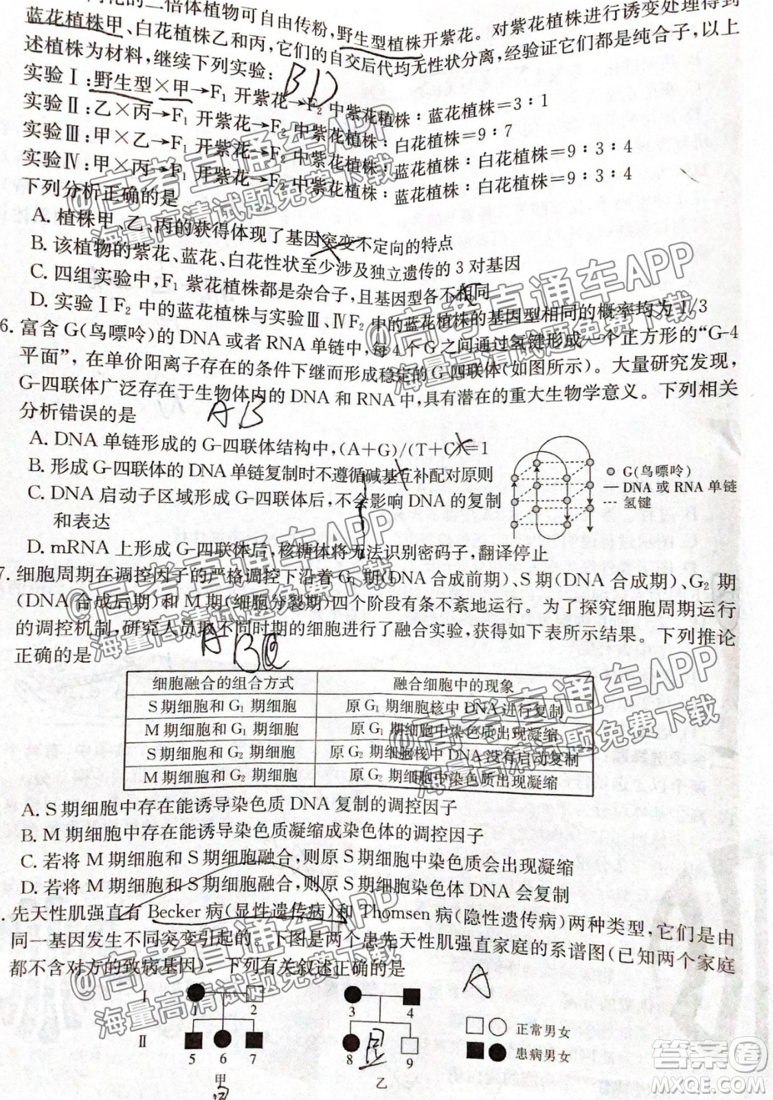 河北2021-2022學(xué)年高三年級(jí)上學(xué)期期中考試生物試題及答案