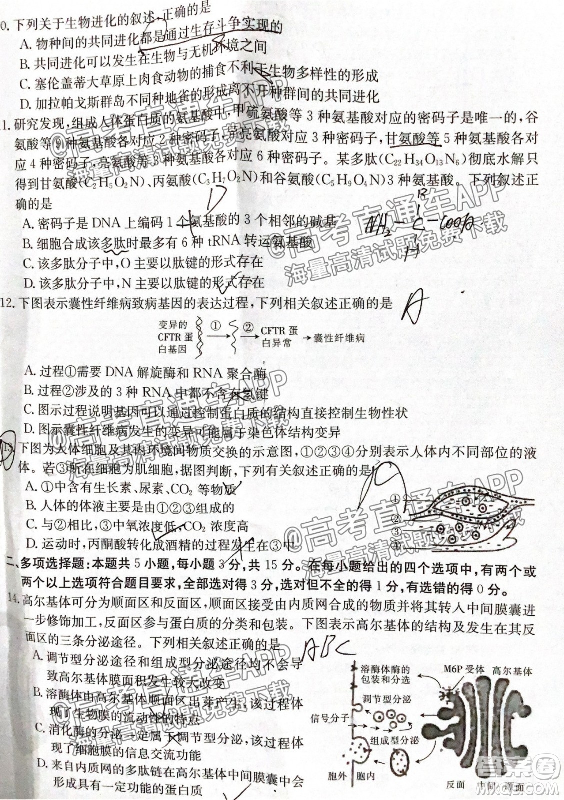 河北2021-2022學(xué)年高三年級(jí)上學(xué)期期中考試生物試題及答案