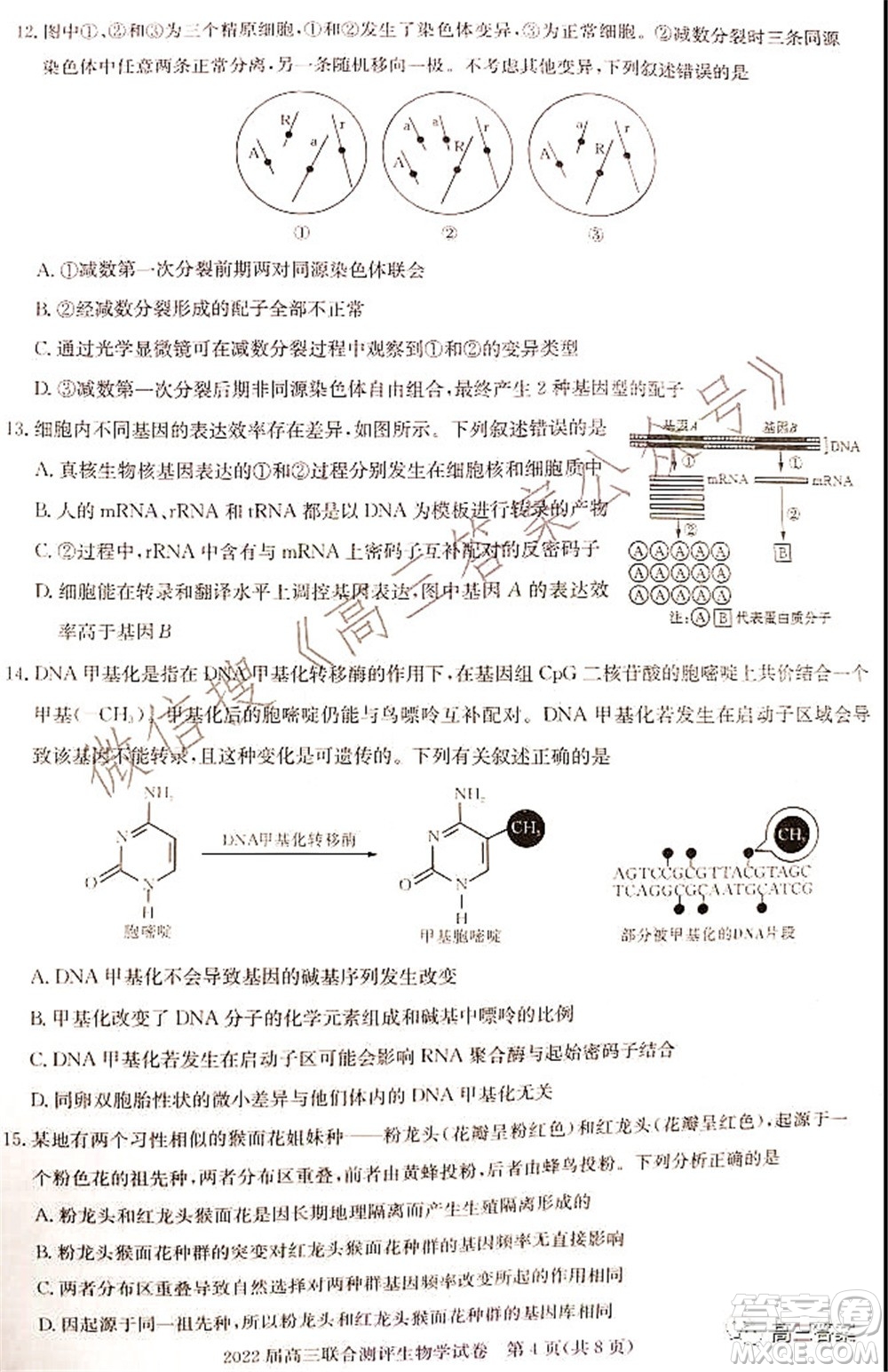 湖北省部分重點(diǎn)中學(xué)2022屆高三第一次聯(lián)考生物試題及答案