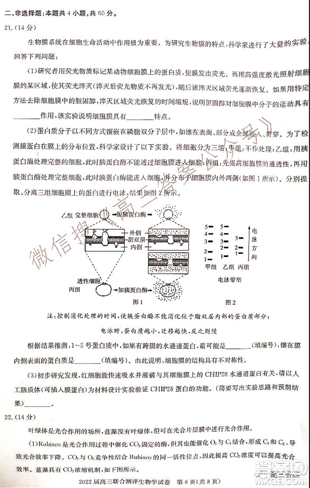 湖北省部分重點(diǎn)中學(xué)2022屆高三第一次聯(lián)考生物試題及答案