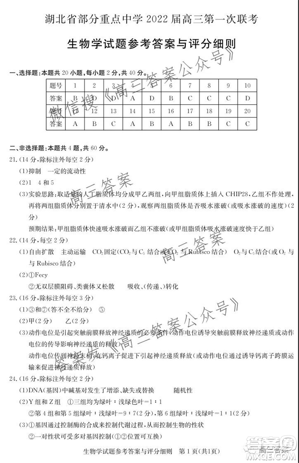 湖北省部分重點(diǎn)中學(xué)2022屆高三第一次聯(lián)考生物試題及答案