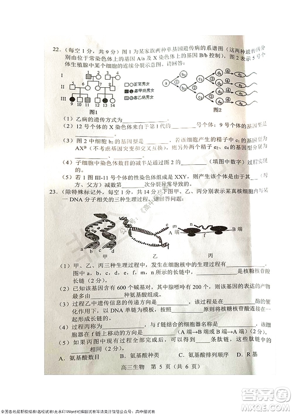 2021-2022學(xué)年度上學(xué)期沈陽(yáng)市郊聯(lián)體期中考試高三生物試題及答案