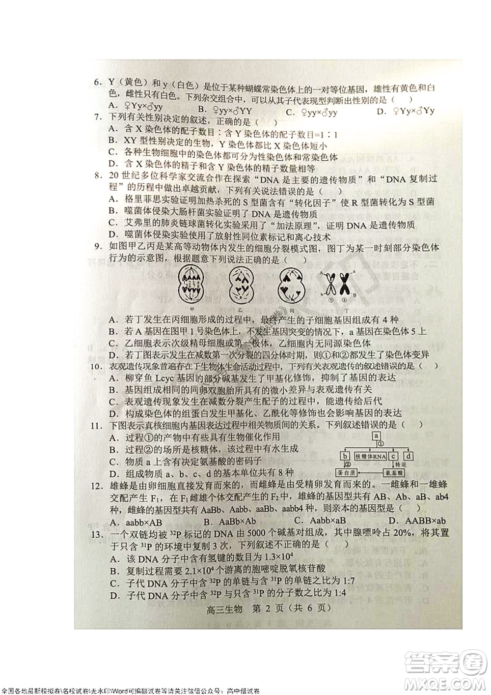 2021-2022學(xué)年度上學(xué)期沈陽(yáng)市郊聯(lián)體期中考試高三生物試題及答案