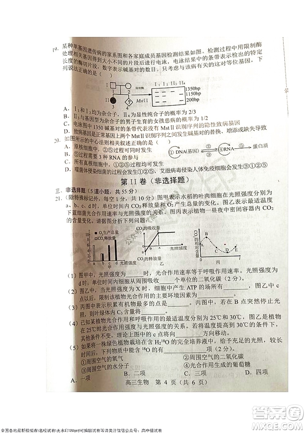 2021-2022學(xué)年度上學(xué)期沈陽(yáng)市郊聯(lián)體期中考試高三生物試題及答案