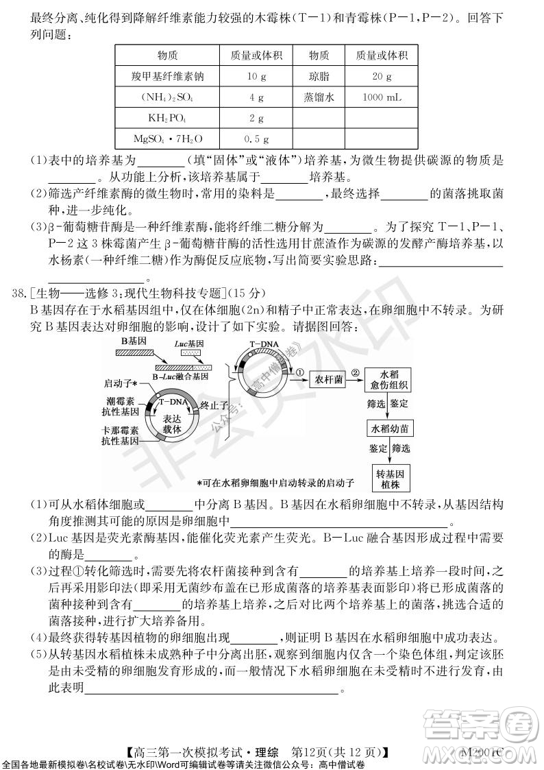 2022屆北海市高三第一次模擬考試理科綜合試題及答案