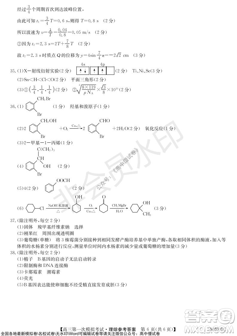 2022屆北海市高三第一次模擬考試理科綜合試題及答案