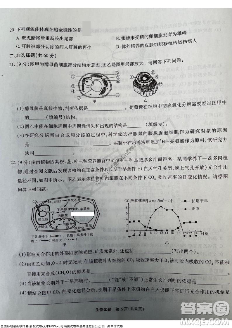 重慶市高2022屆高三第三次質(zhì)量檢測(cè)生物試題及答案