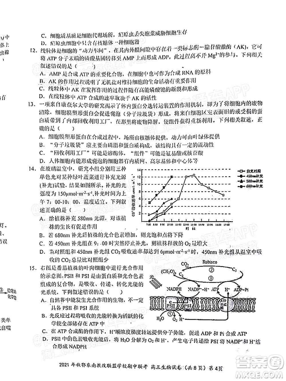 2021年秋季鄂東南省級(jí)示范高中教育教學(xué)改革聯(lián)盟學(xué)校期中聯(lián)考高三生物試題及答案